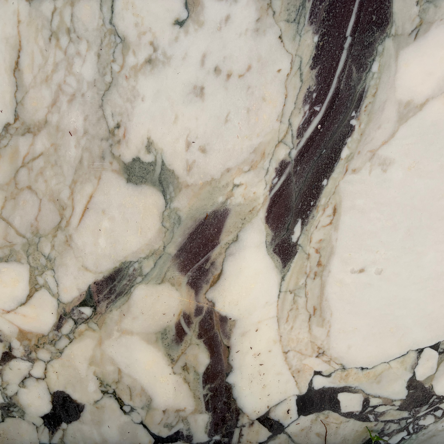 2CM Calacatta viola (39.5" x 59")