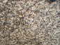 3CM Santa Cecelia - Granite