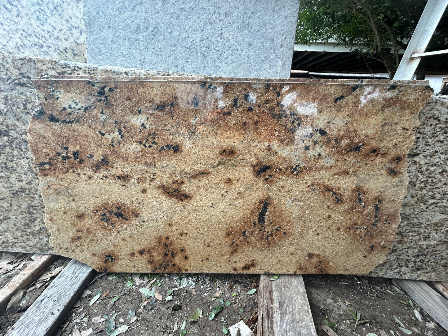 3CM Jaguar - Granite
