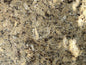 3CM Namibian Gold - Granite