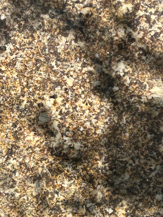 3CM Desert Beach - Granite