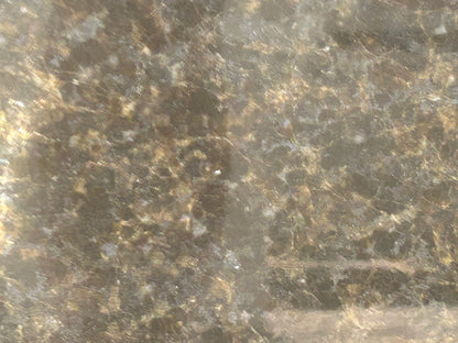 3CM Peacock Green - Granite