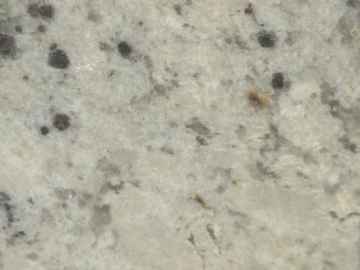 3CM Dallas White - Granite