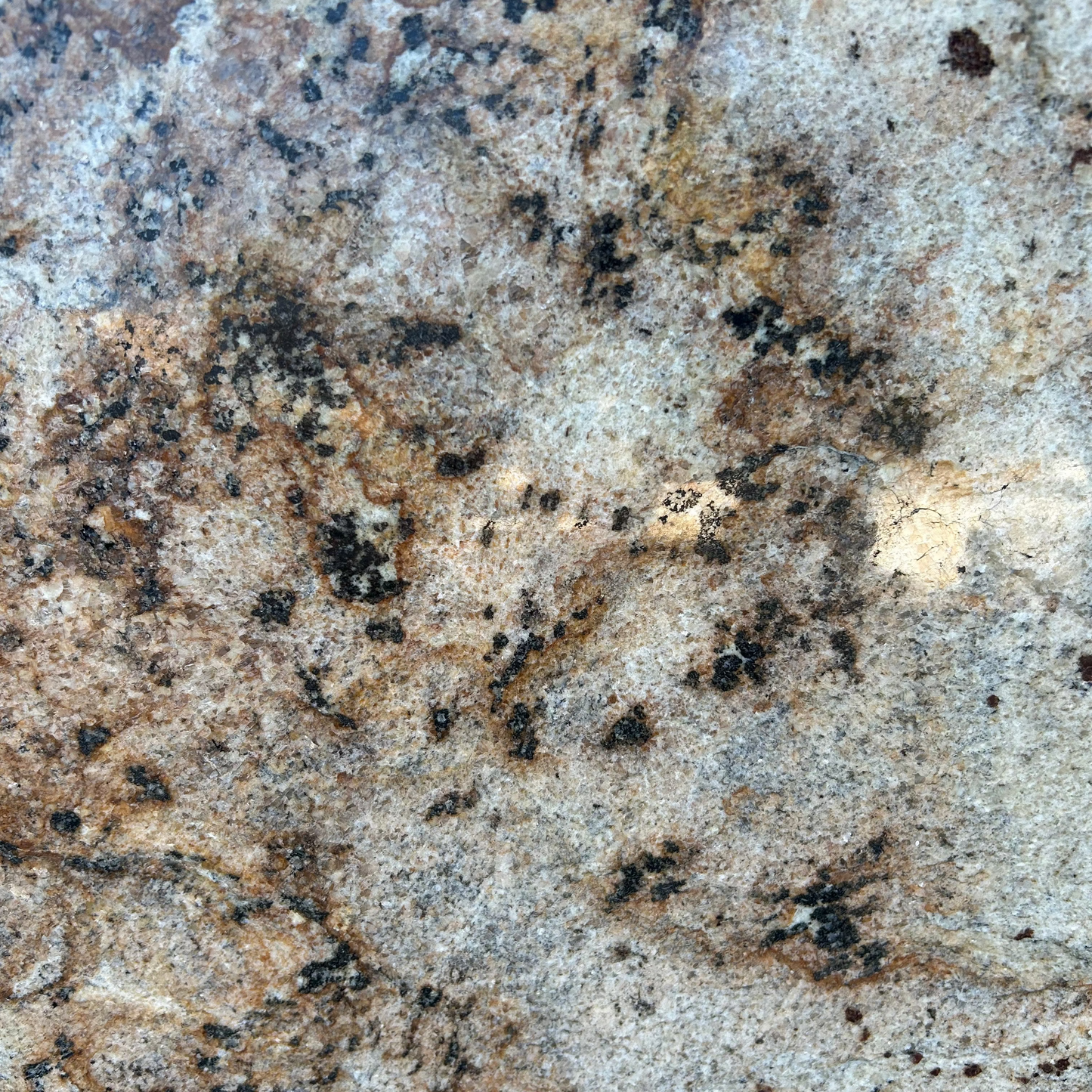 3CM Jaguar - Granite