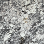 3CM Delicatus White (Brushed) - Granite