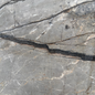 2CM Essential Grey- Marble (52" x 31")