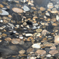 3CM Golden Marinace - Granite (50" x 26.5")
